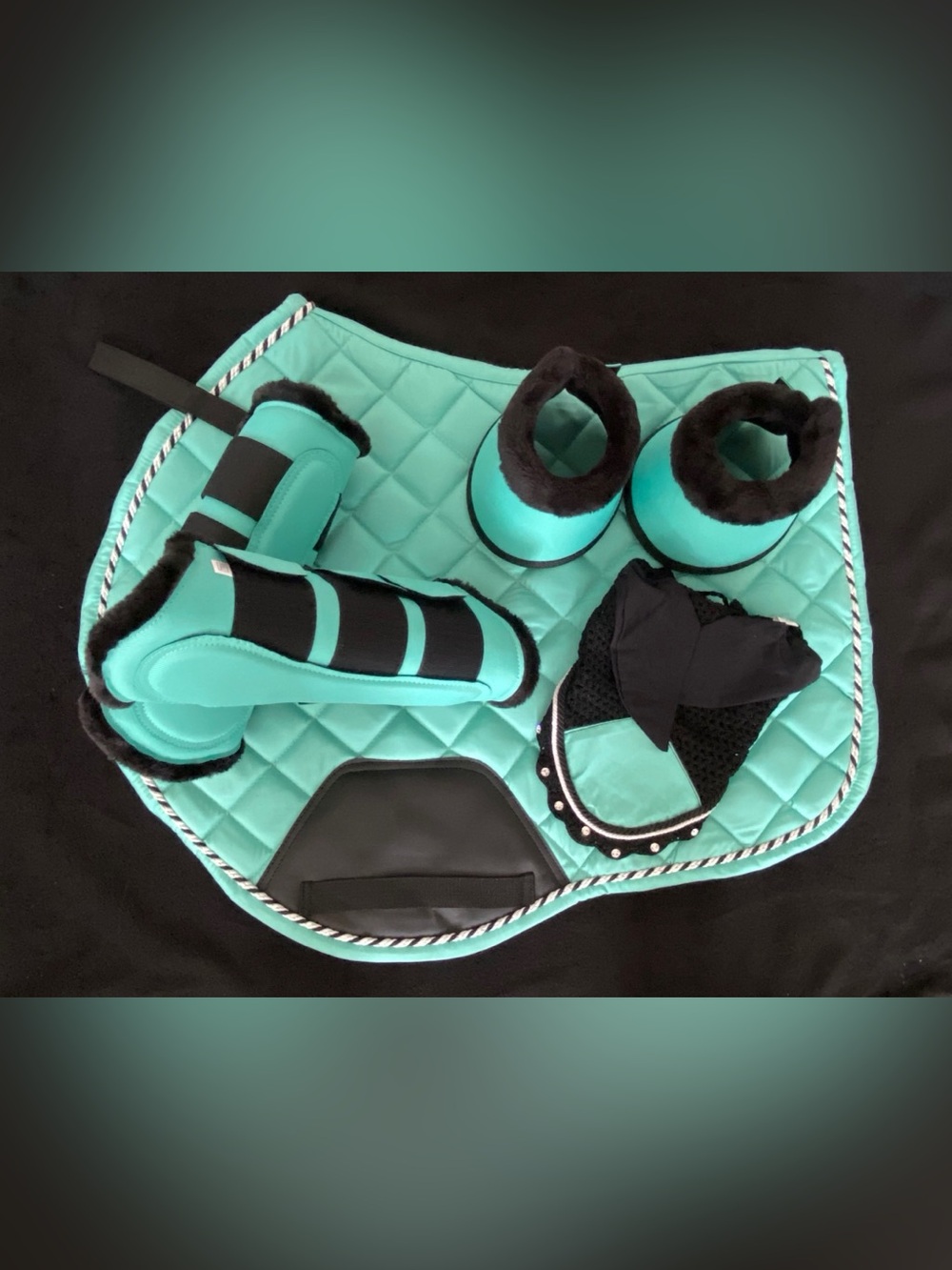 Turquoise Equestrian Saddle Pad and Matching Tack Set